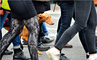 Geef je contentstrategie een boost!