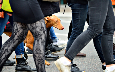 Geef je contentstrategie een boost!