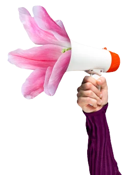 sidebeeld_strategie sidebeeld_strategie