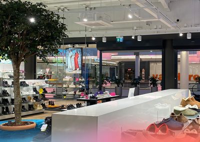 Dat maakt Ludec: van familiebedrijf tot merk met ambitie