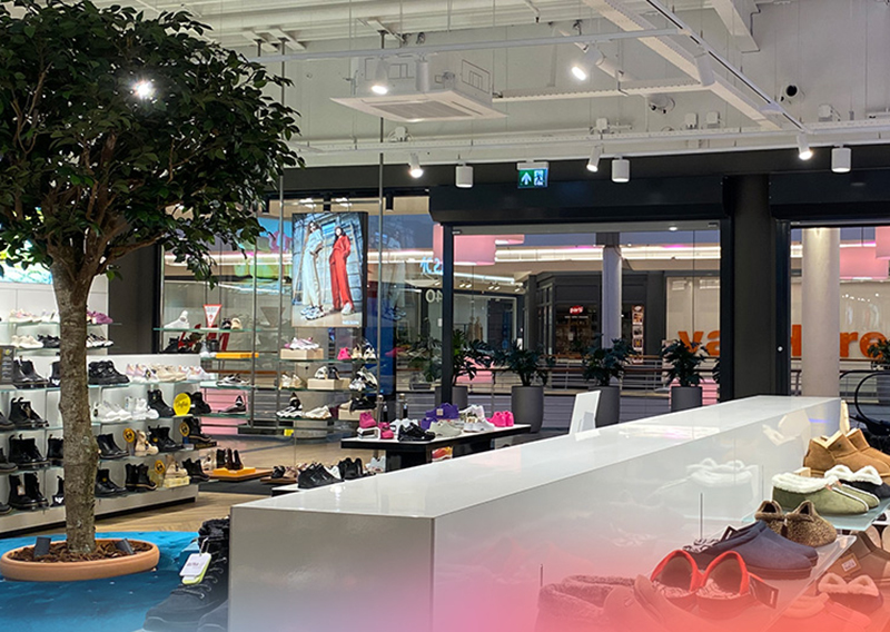 Dat maakt Ludec: van familiebedrijf tot merk met ambitie